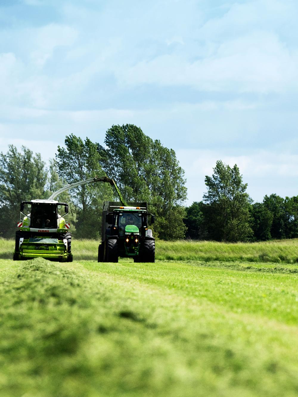 ForageMax 40 Robust Rød